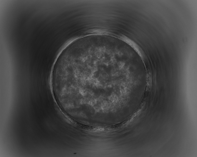 X0000100311098200806190937