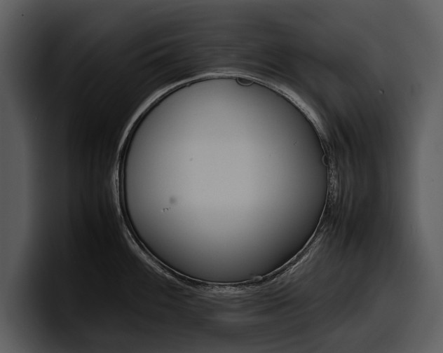 X0000100311100200806190937