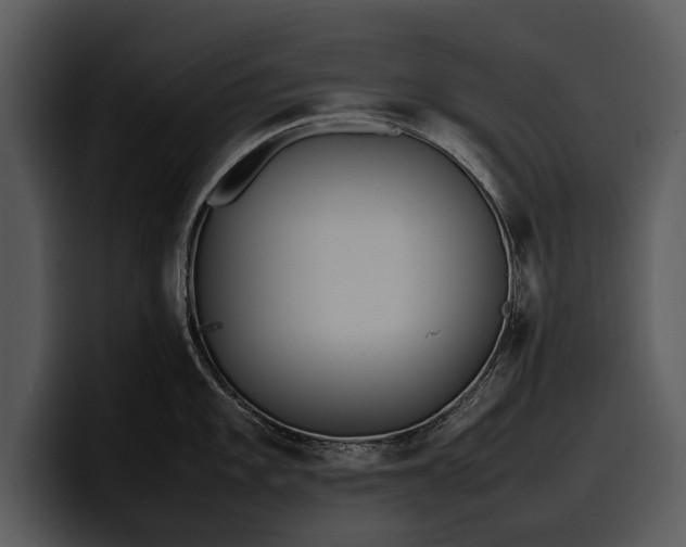 X0000100311101200806190937