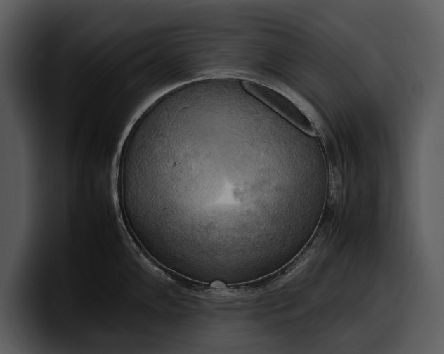 X0000100311102200806190937