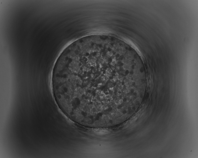 X0000100311103200806190937