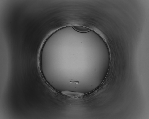 X0000100311104200806190937