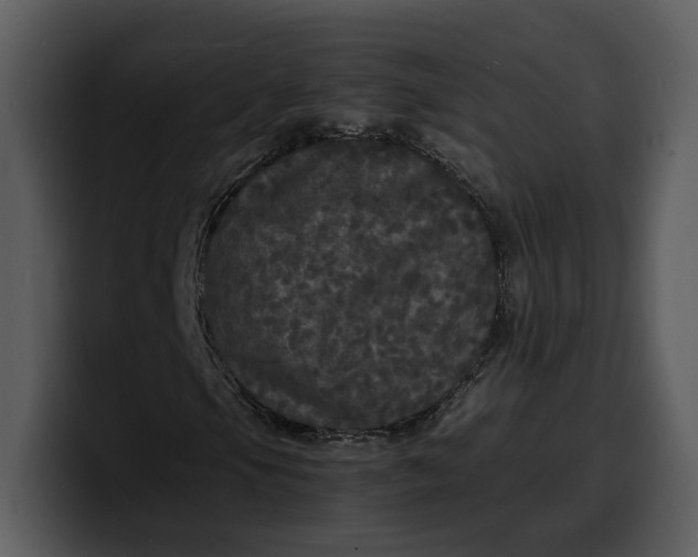 X0000100311105200806190936