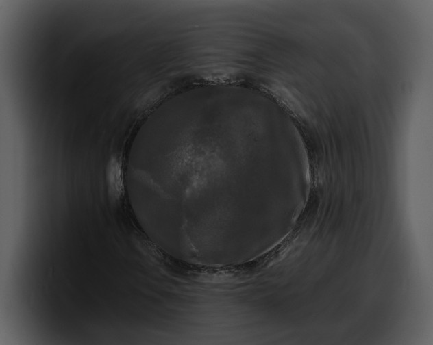 X0000100311106200806190936