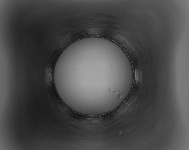 X0000100311107200806190936
