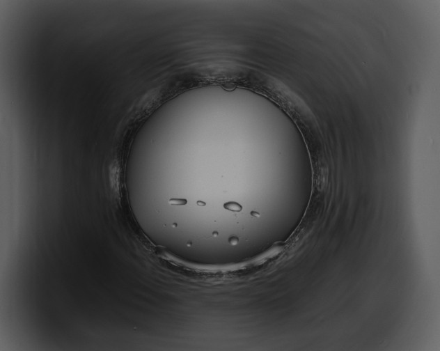 X0000100311108200806190937