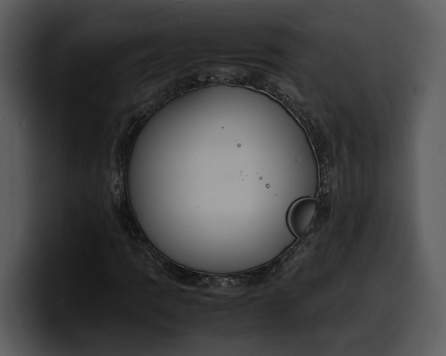 X0000100311109200806190937