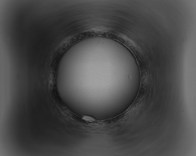 X0000100311110200806190937