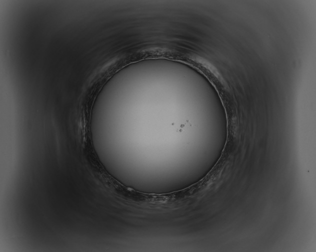 X0000100311111200806190937