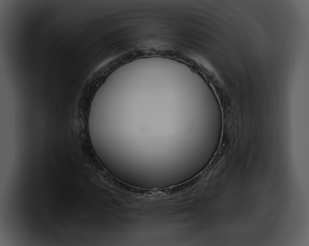 X0000100311112200806190937