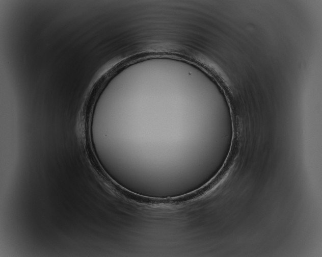 X0000100311114200806190937