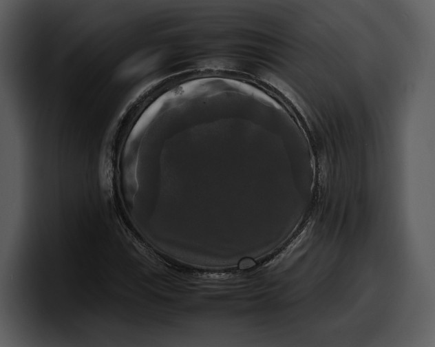 X0000100311115200806190937