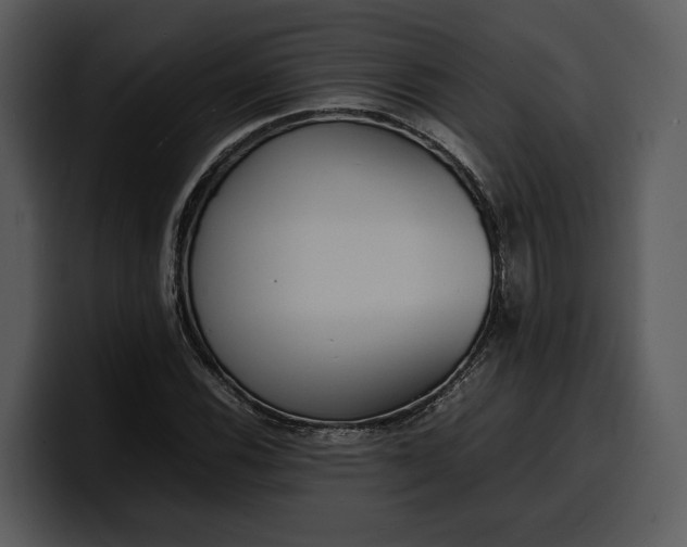 X0000100311116200806190937