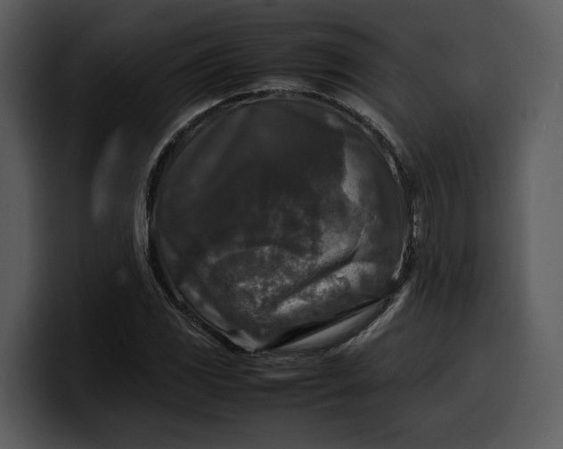 X0000100311117200806190937