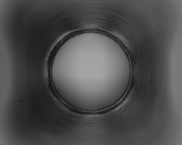 X0000100311118200806190937