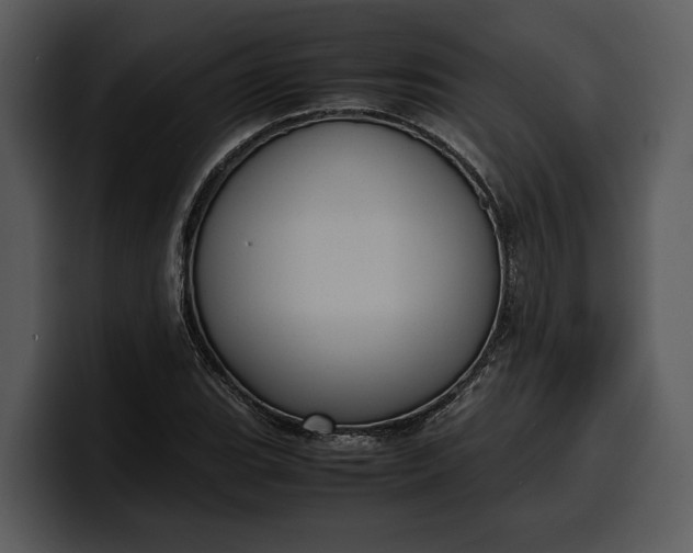 X0000100311119200806190937