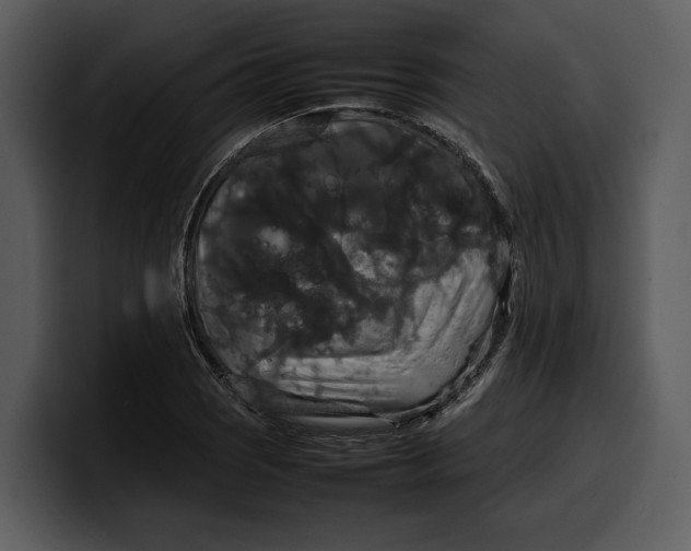 X0000100311121200806190937