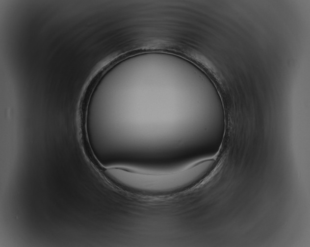 X0000100311122200806190937