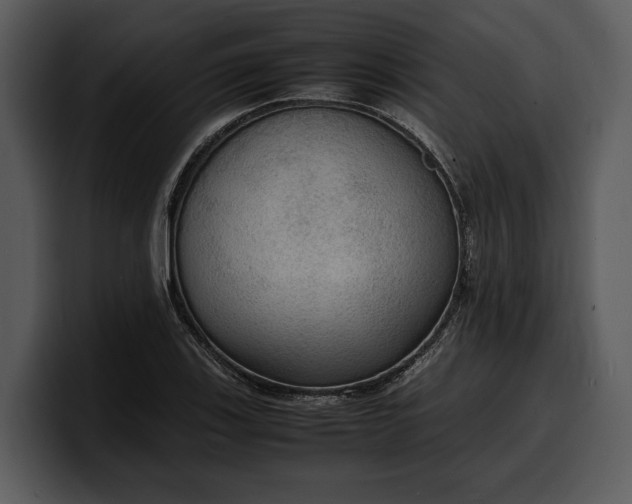 X0000100311123200806190937