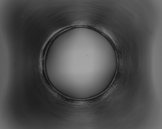 X0000100311124200806190937