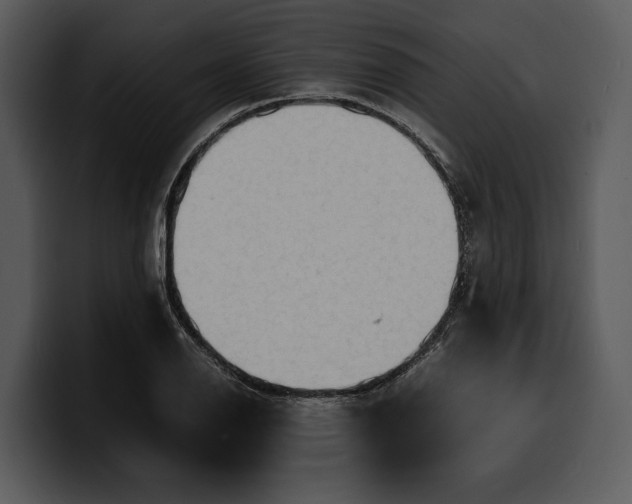 X0000100311126200806190937