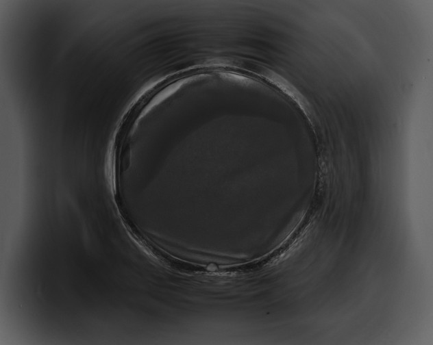 X0000100311127200806190937