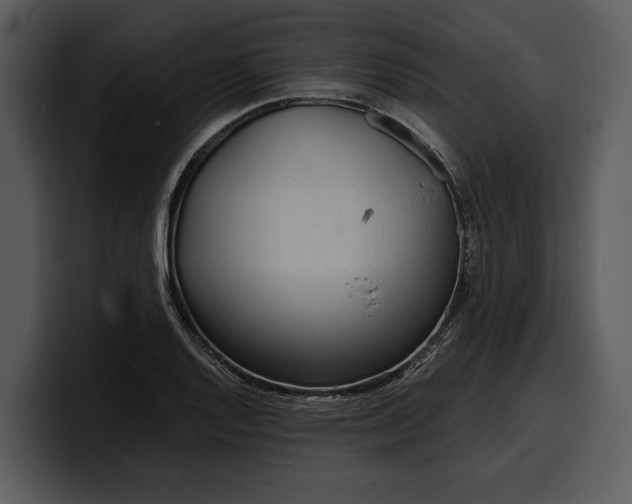 X0000100311128200806190937