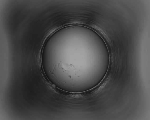 X0000100311129200806190937
