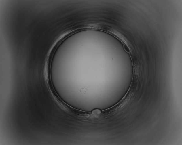 X0000100311131200806190937