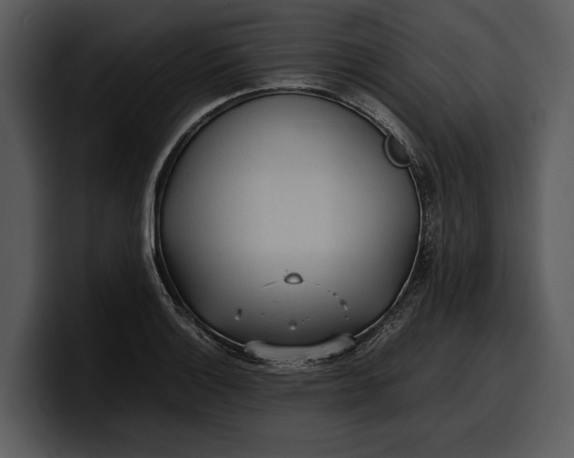 X0000100311132200806190937