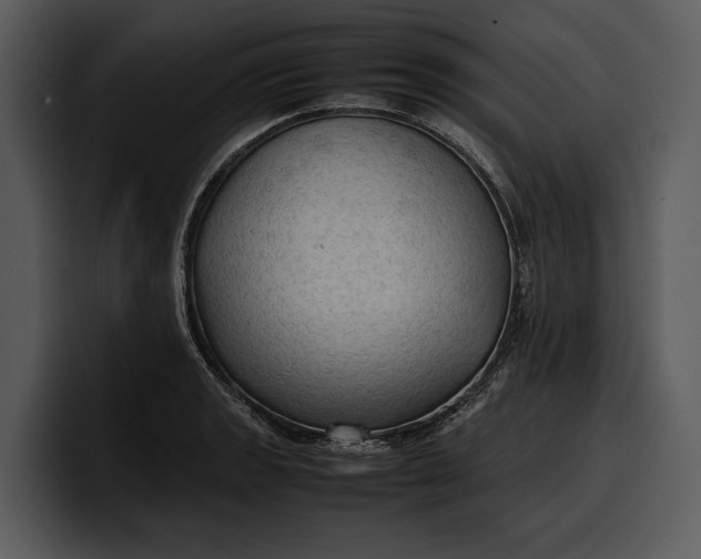 X0000100311133200806190937