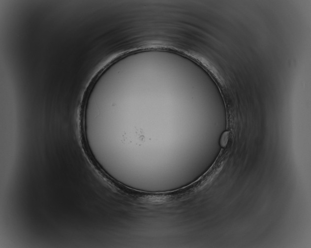 X0000100311134200806190937