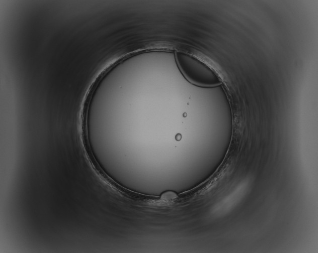 X0000100311135200806190937