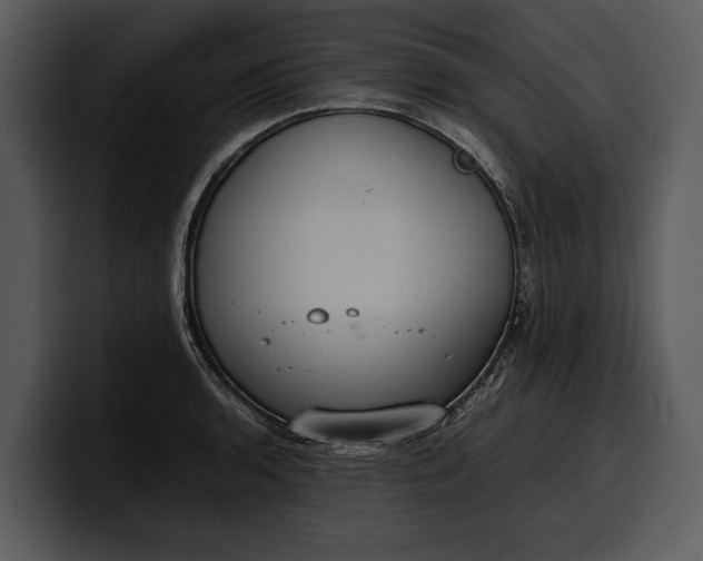 X0000100311136200806190937