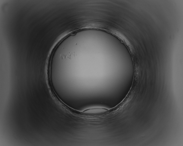 X0000100311138200806190937