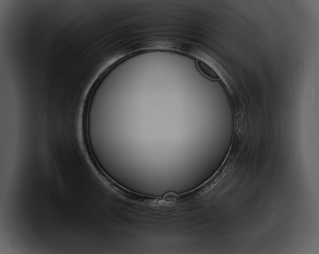 X0000100311139200806190937