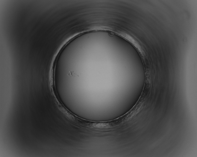 X0000100311140200806190937