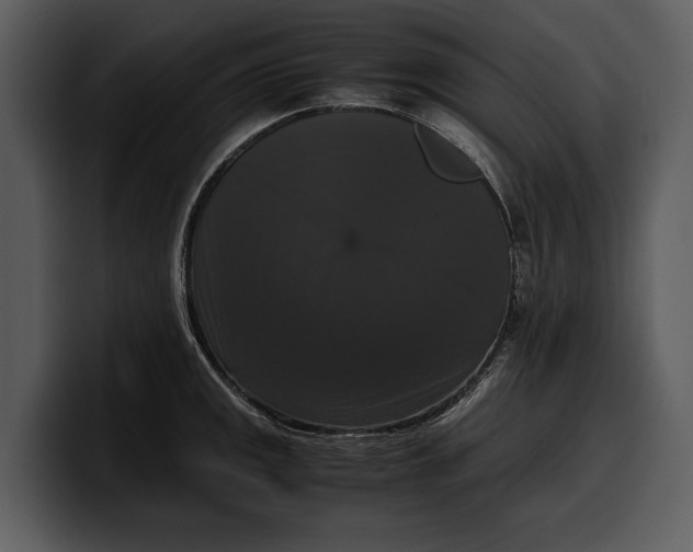 X0000100311141200806190937