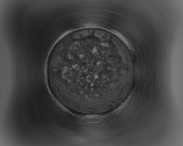 X0000100311142200806190937