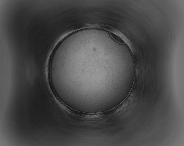 X0000100311143200806190937