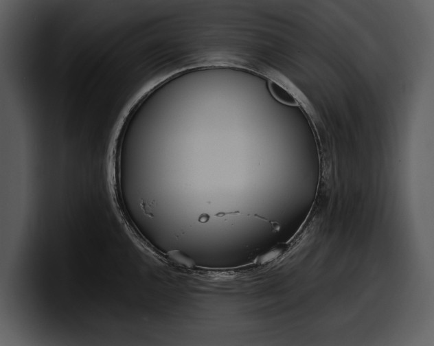 X0000100311144200806190937
