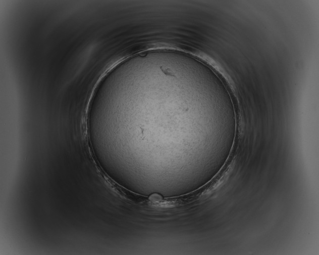 X0000100311145200806190937