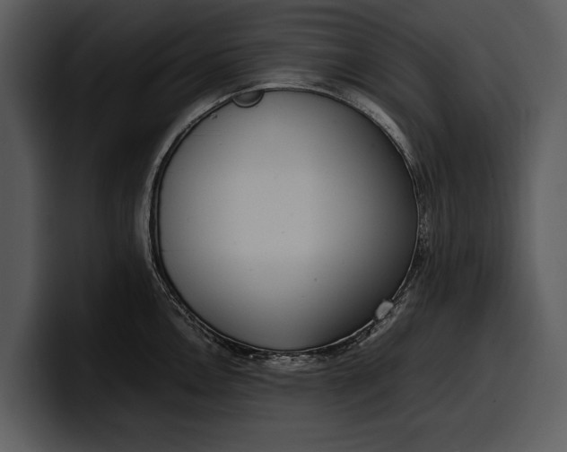 X0000100311146200806190937