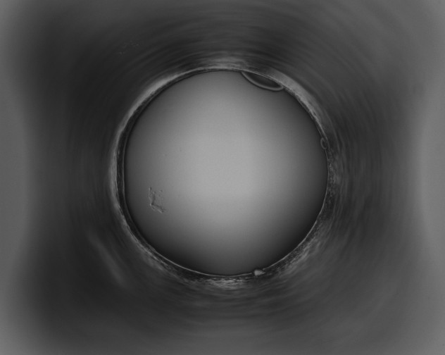X0000100311147200806190937