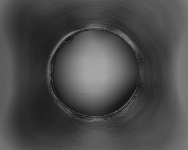 X0000100311148200806190937
