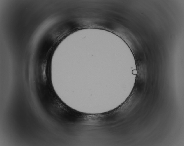X0000100311150200806190937