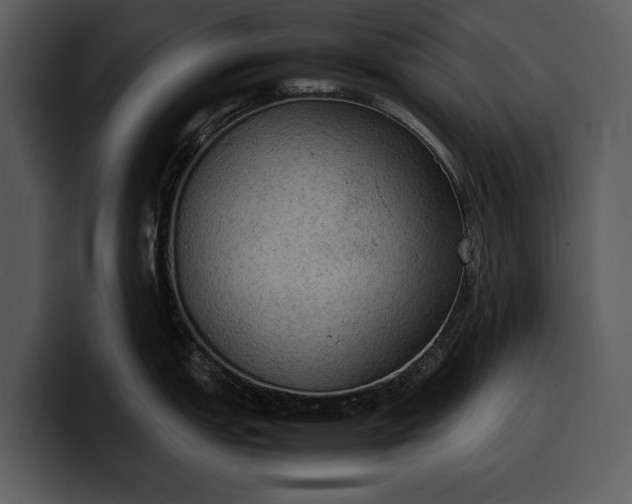 X0000100311151200806190937