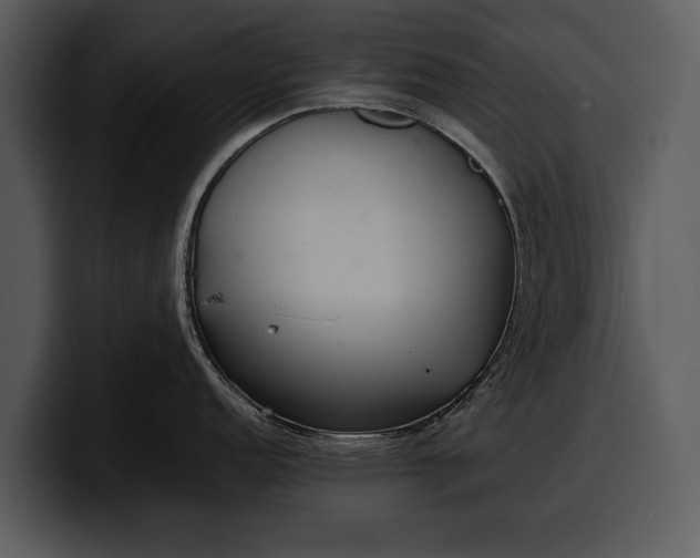 X0000100311152200806190937