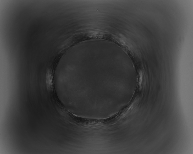 X0000100311154200806190936