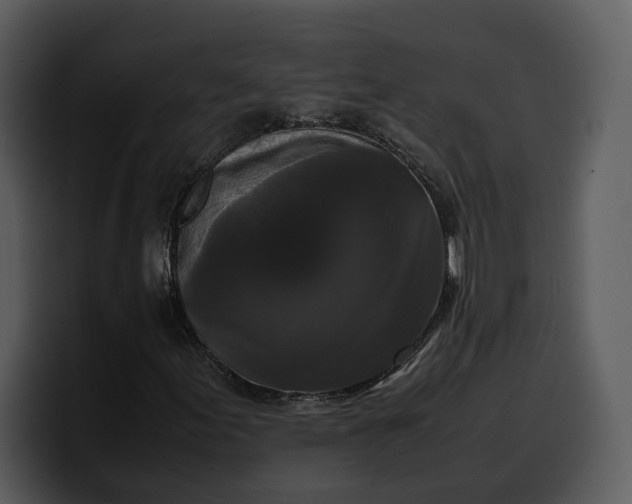 X0000100311155200806190936